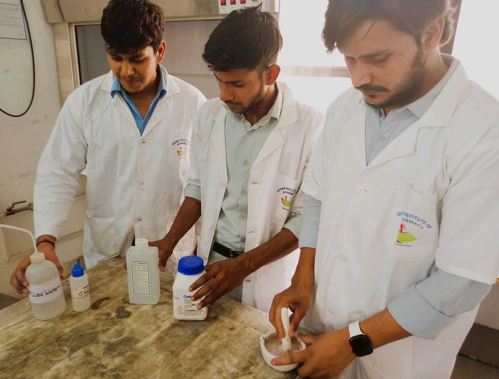 Students performing biochemistry assays