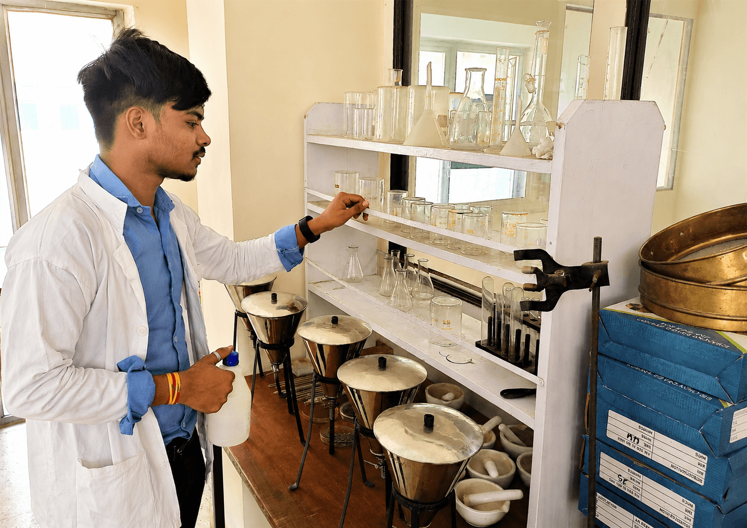 Microscopy and phytochemical analysis