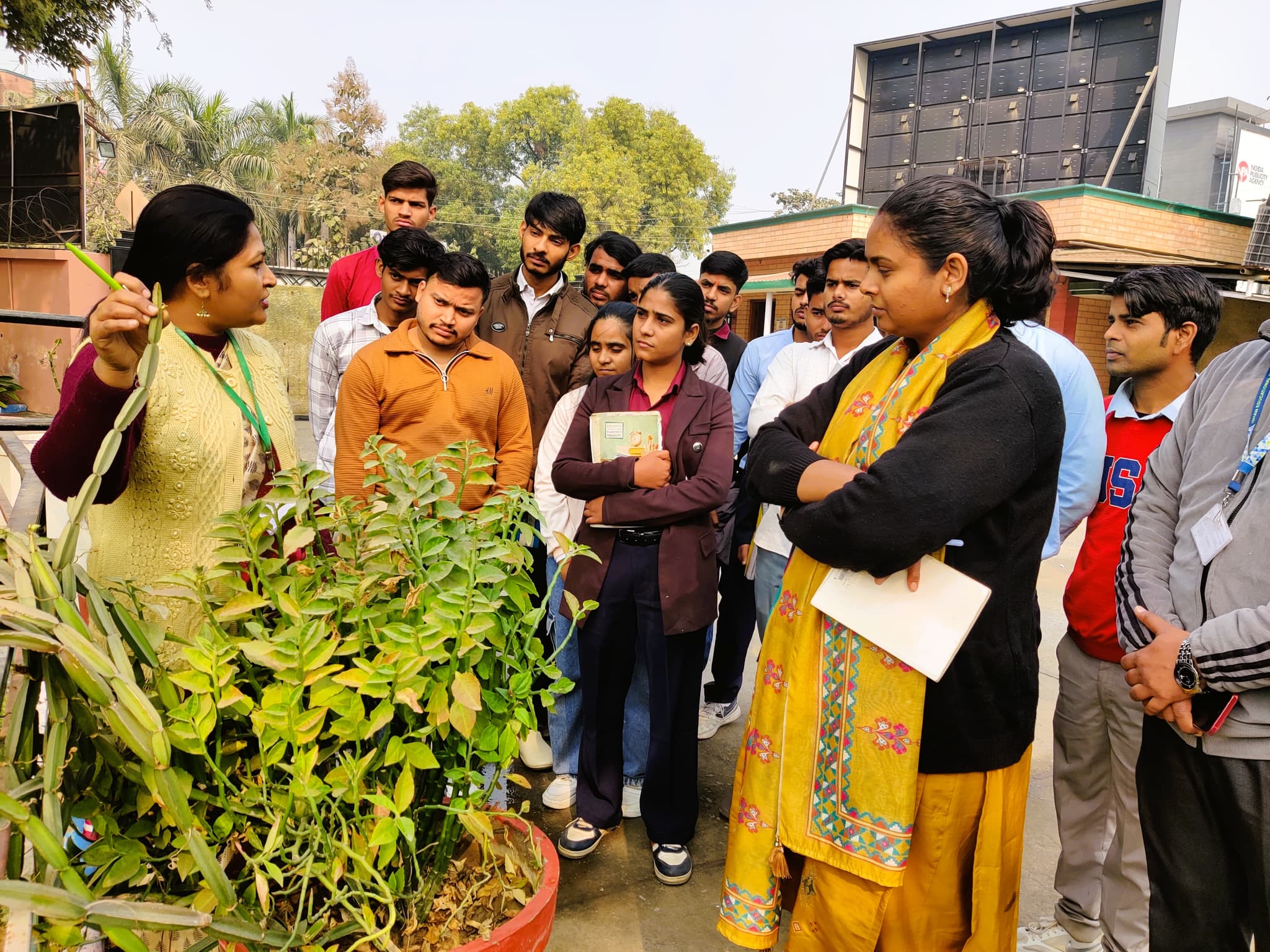 Herbal garden panoramic view