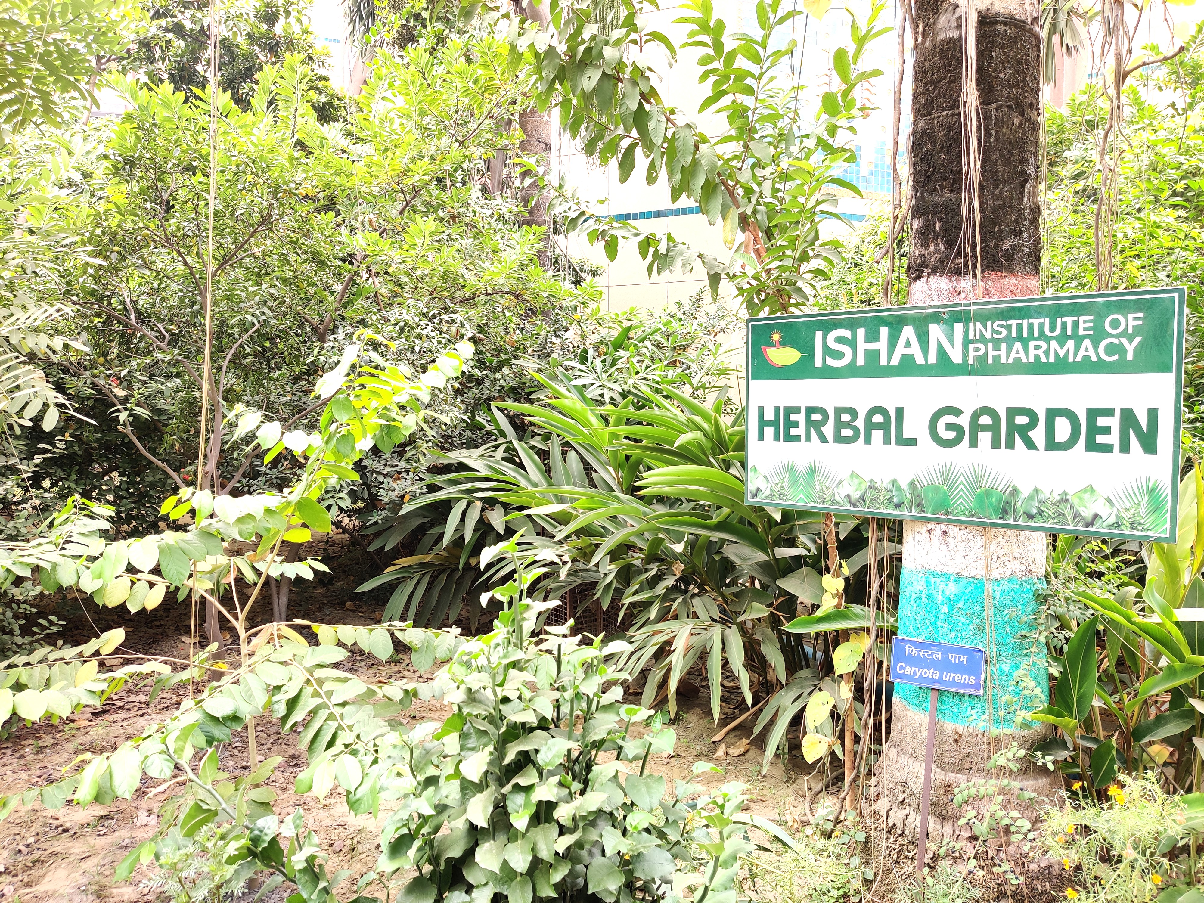 The Living Herbal Garden - 2